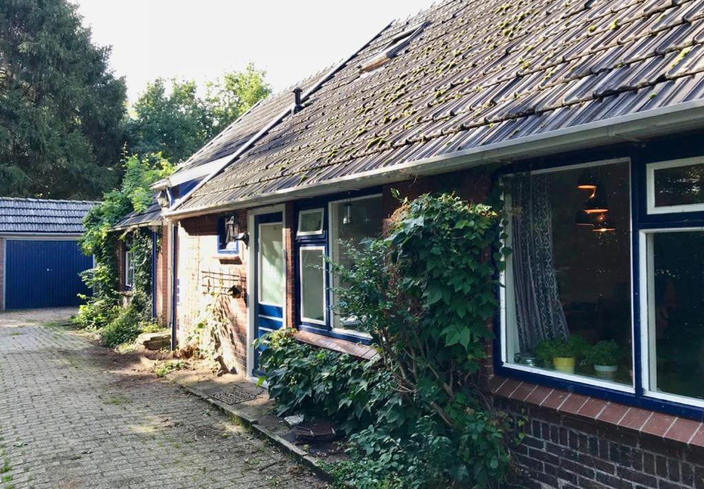 Johanna'S Oostwold  外观 照片