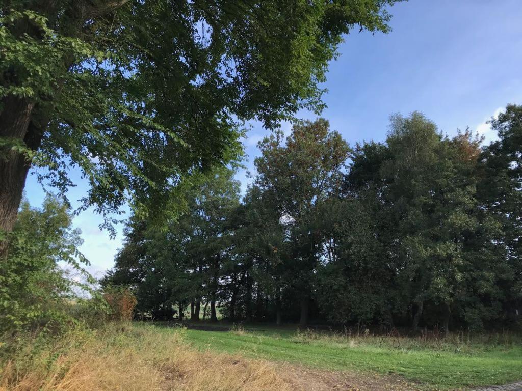 Johanna'S Oostwold  外观 照片
